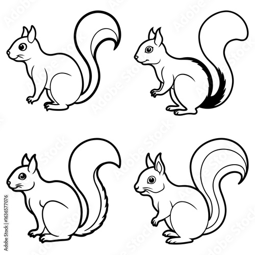 Four outlined squirrels in different poses with bushy tails on a white background illustration art