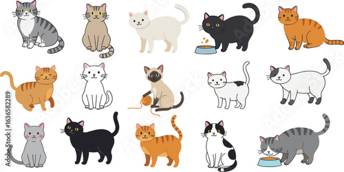 Cute domestic cat illustrations, playful kittens, black cats, tabby cats, white cats, Siamese cats, eating cats, cartoon style, adorable pet animals