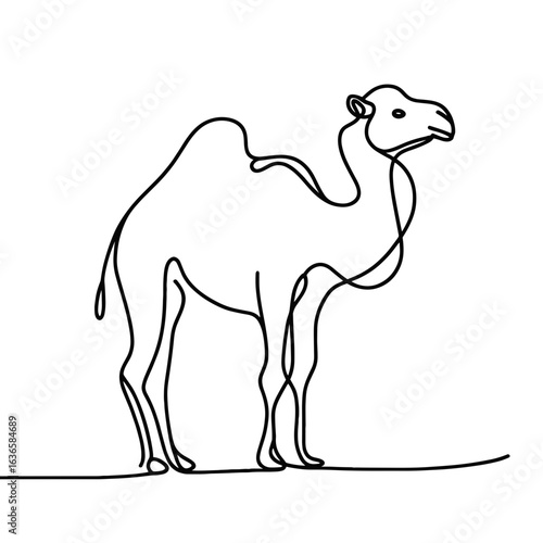 Camel standing against plain background