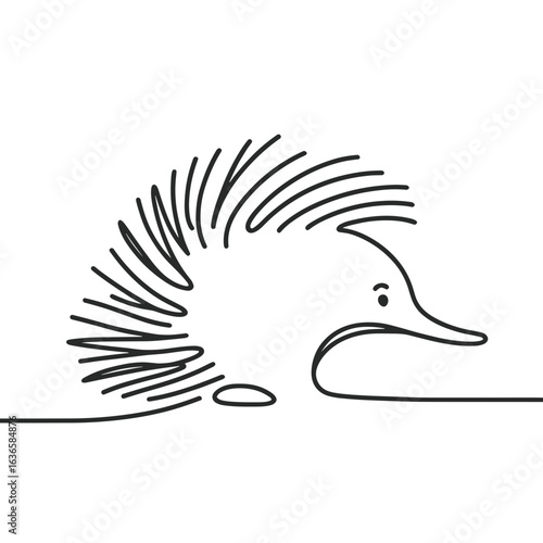 Echidna walking against transparent background