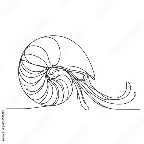 Nautilus shell in line art drawing in black and white symbolizing nature