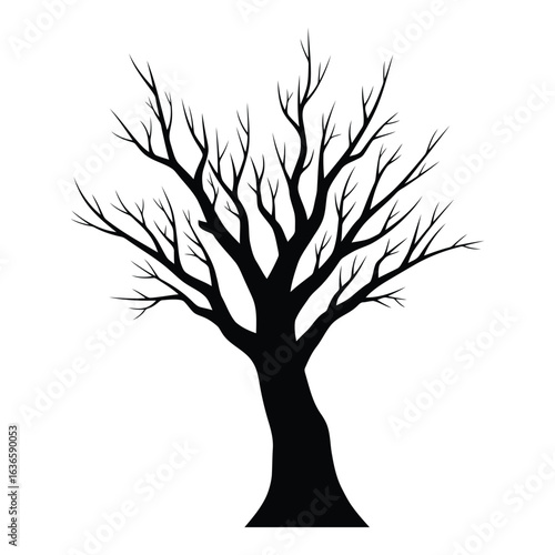 Bare Tree Silhouette