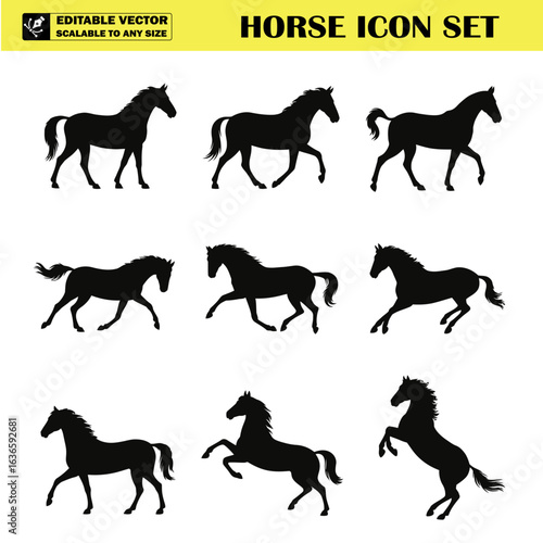 Silhouette illustrations of horses in various dynamic poses for design inspiration and artwork