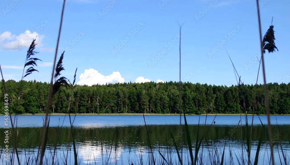 Obraz premium Lakeside vista, tranquil scene