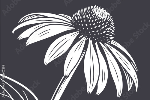 Elegant Botanical: This eye-catching illustration of a coneflower with a unique perspective. perfect for adding natural elegance and serenity to any project.
