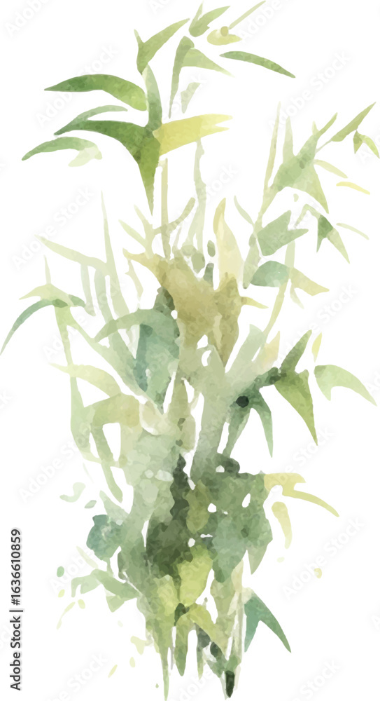 Fototapeta premium Vector watercolor painted bamboo. Hand drawn flower design elements isolated on white background.