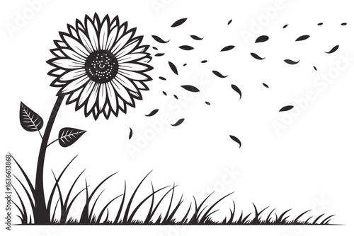 Sunflower and scattered Petals: A detailed monochrome depiction of a sunflower in a gust of wind, showcasing nature's ephemeral beauty with blowing petals. 