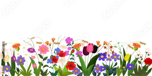 Horizontal banner with Summer, spring flowers Border, Isolated on Transparent Background. Botanical  vector illustration