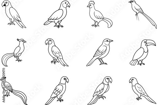 Exotic Tropical Birds Line Art Collection with macaw, toucan, quetzal, parrot, motmot, bird of paradise, lorikeet, turaco, roller