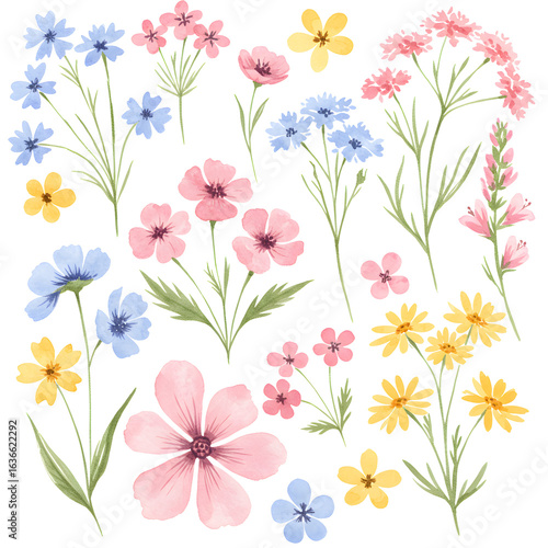 Wallpaper Mural Vibrant Botanical: Watercolor composition of several types of spring blooms featuring flowers in a captivating array of hues. A visual treat, full of freshness and delicate beauty. Torontodigital.ca