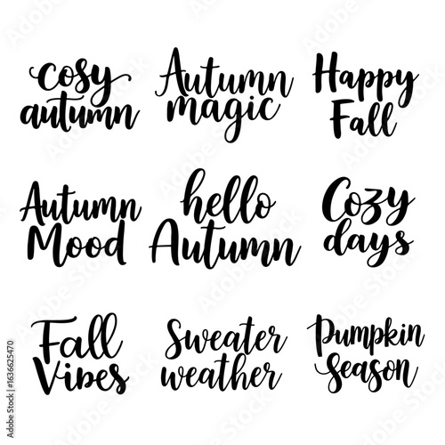 Set of handwritten autumn lettering phrases with seasonal quotes in modern calligraphy style, black text on white background, fall typography design for decoration and print.