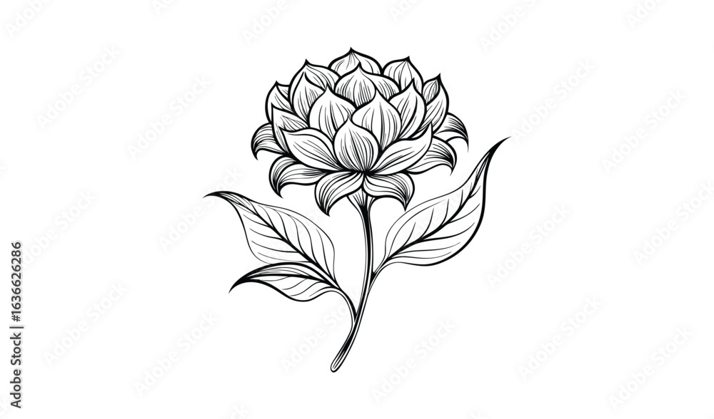 Obraz premium Elegant hand drawn black and white botanical illustration of a flower