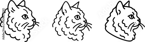 Selkirk rex cat head side profile outline vector