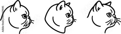 Exotic shorthair cat head side profile outline vector