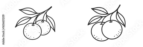 Illustration of two clusters of citrus fruits with leaves on branches showcasing a simple, minimalist design