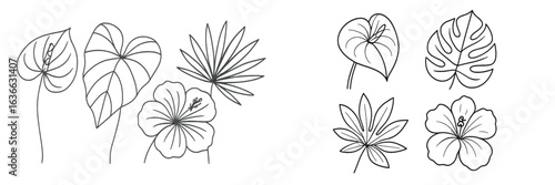 Variety of tropical plant line drawings showcasing unique leaf shapes and floral designs for artistic inspiration and creativity