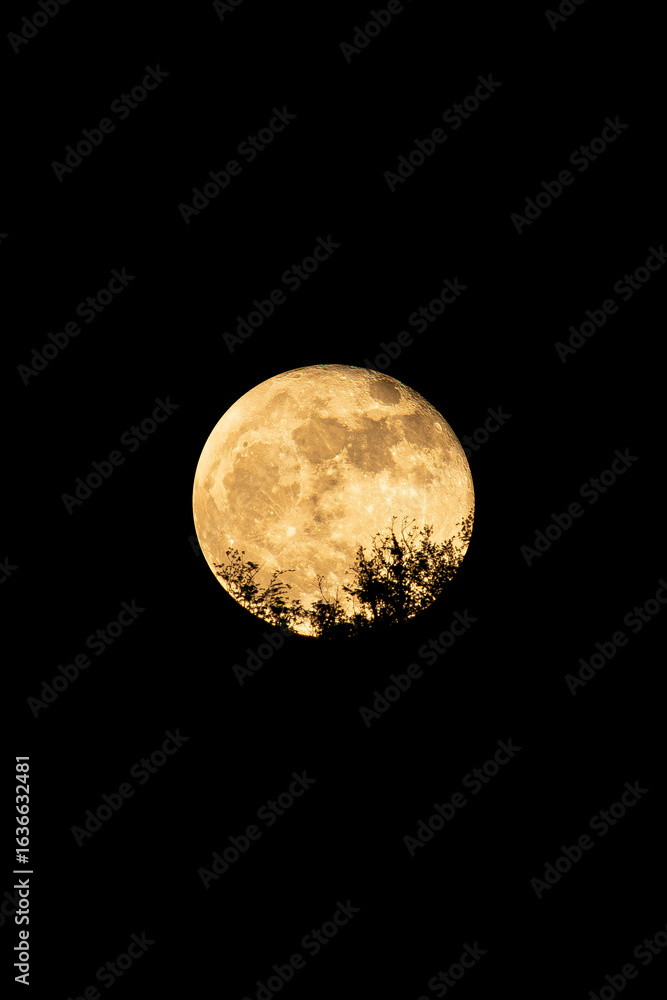 Obraz premium Full moon on black background