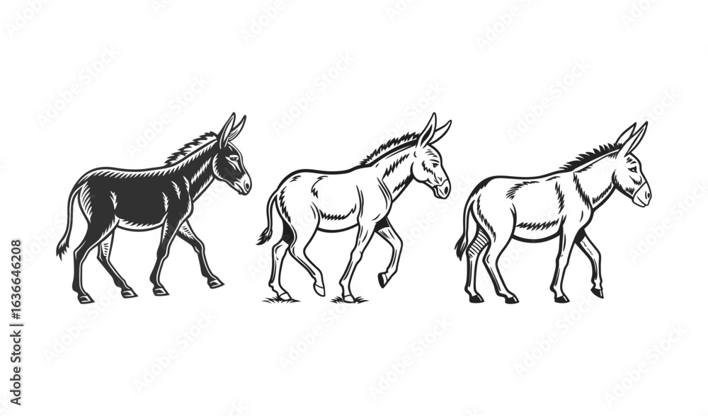 Fototapeta premium Three donkeys in a row showing different styles of illustration