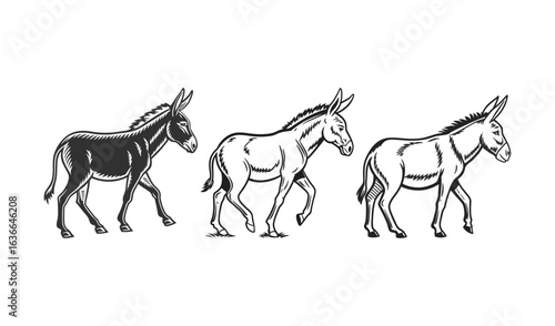Three donkeys in a row showing different styles of illustration