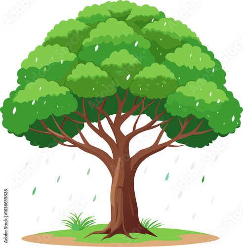 Rain Tree