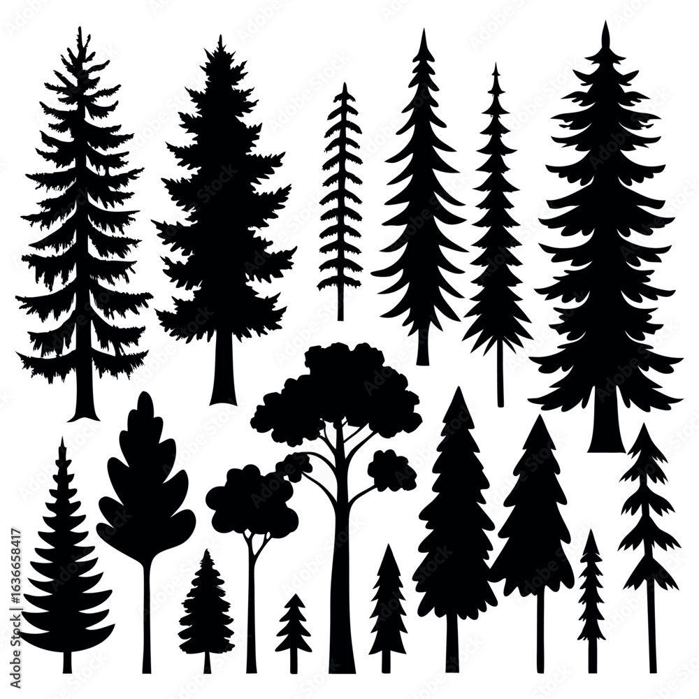 Obraz premium Silhouettes of evergreen trees in a forest&nbsp;setting