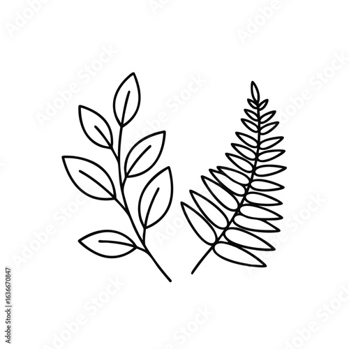 A minimalist black and white illustration showcases two botanical elements, a leafy branch and a fern frond, on a clean white background, perfect for design.