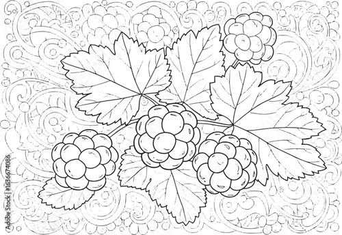 Cloudberry coloring page with intricate swirl background design