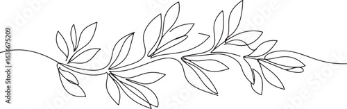 Elegant botanical illustration with continuous line drawing of l