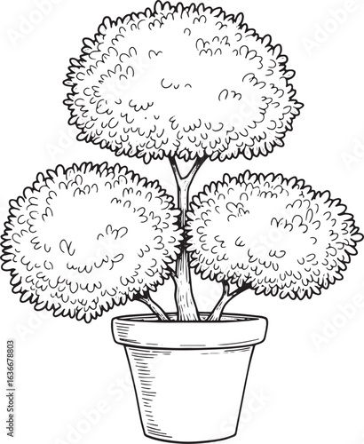 Elegant Topiary Sketch: A Botanical Illustration for Design and