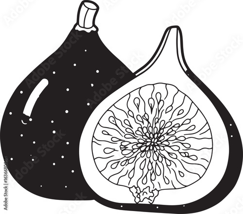 Elegant fig fruit illustration, whole and halved, showcasing see