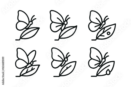 Butterfly Icons Grid