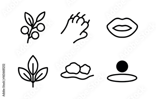 Forest Bear Icons