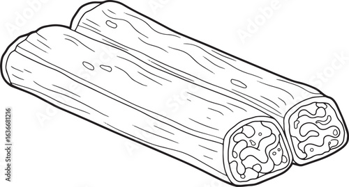 Detailed Line Art Depiction of Cannelloni Pasta Rolls on Swirlin