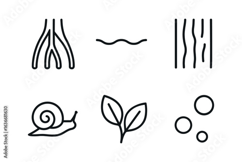 Mangrove Icons Grid