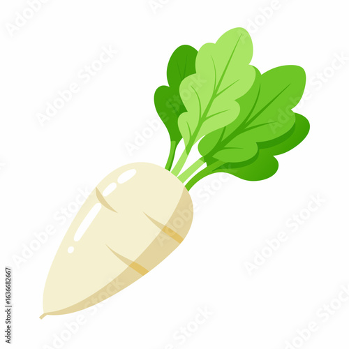 White radish with vibrant green leaves in a cartoon style. Isolated vegetable illustration for educational or food related projects.