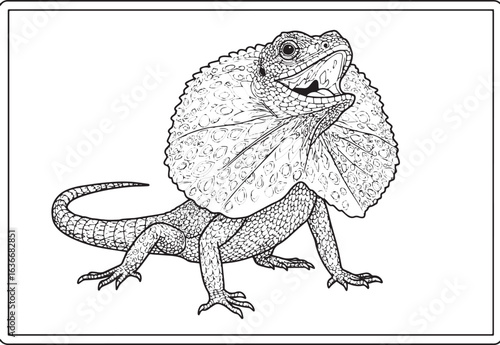 Detailed black and white frilled neck lizard illustration for co