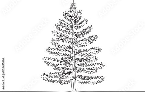 Elegant Single Line Drawing of a Balsam Fir Tree Against White B