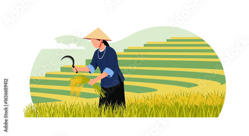 Asian Farmer Harvesting Rice On Terraced Fields Traditional Agriculture Illustration