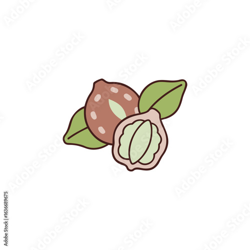 An oca vegetable icon colored outline vector illustration.