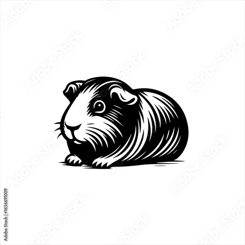 Cute guinea pig illustration