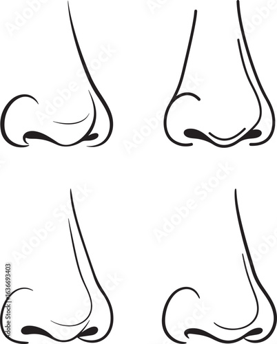 Four different nose silhouettes in black and white line art