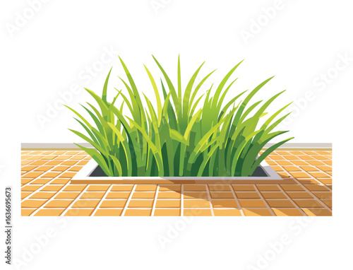 Grassy plant in a square tiled concrete planter