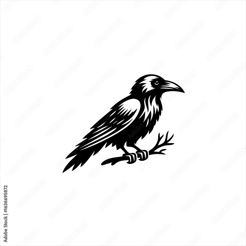 Fototapeta premium Stylized crow illustration