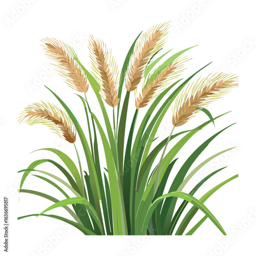 Dry Golden Grass with Seed Heads