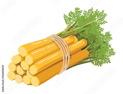Fresh Organic Carrots Harvested for Healthy Cooking
