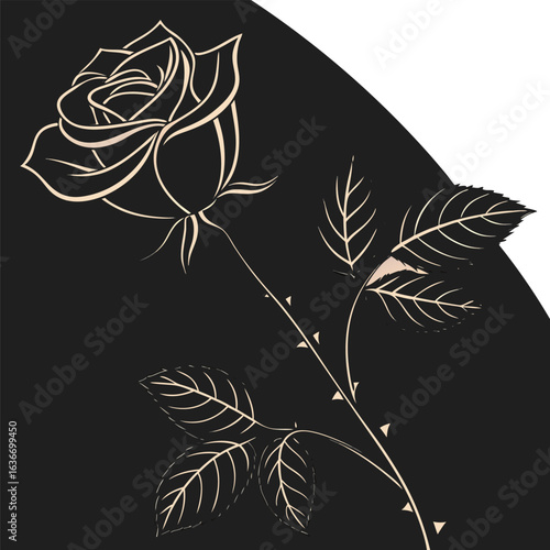 Elegant rose bloom with delicate leaves and thorny stem flower botanical vector EPS file