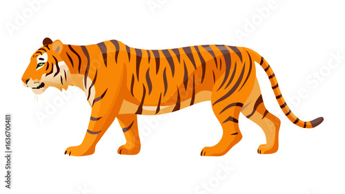 Bengal Tiger vector