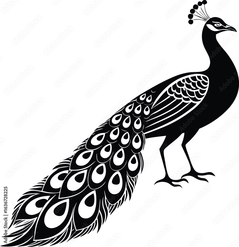 Obraz premium Elegant black peacock vector silhouette with detailed tail feathers icon
