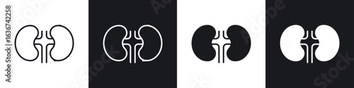 Kidney icon vector - Sign or Symbol collection