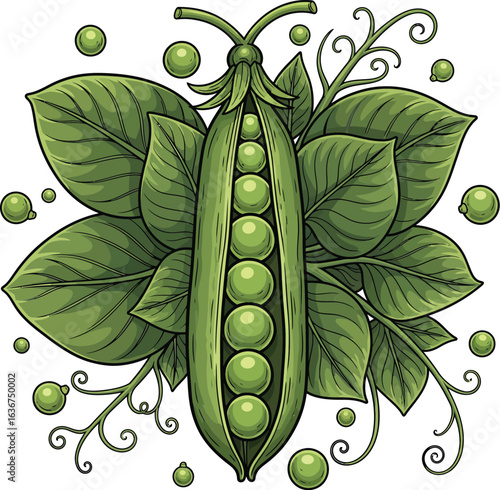 Fresh Green Peas - Vibrant Illustration of Pea Plant Pods